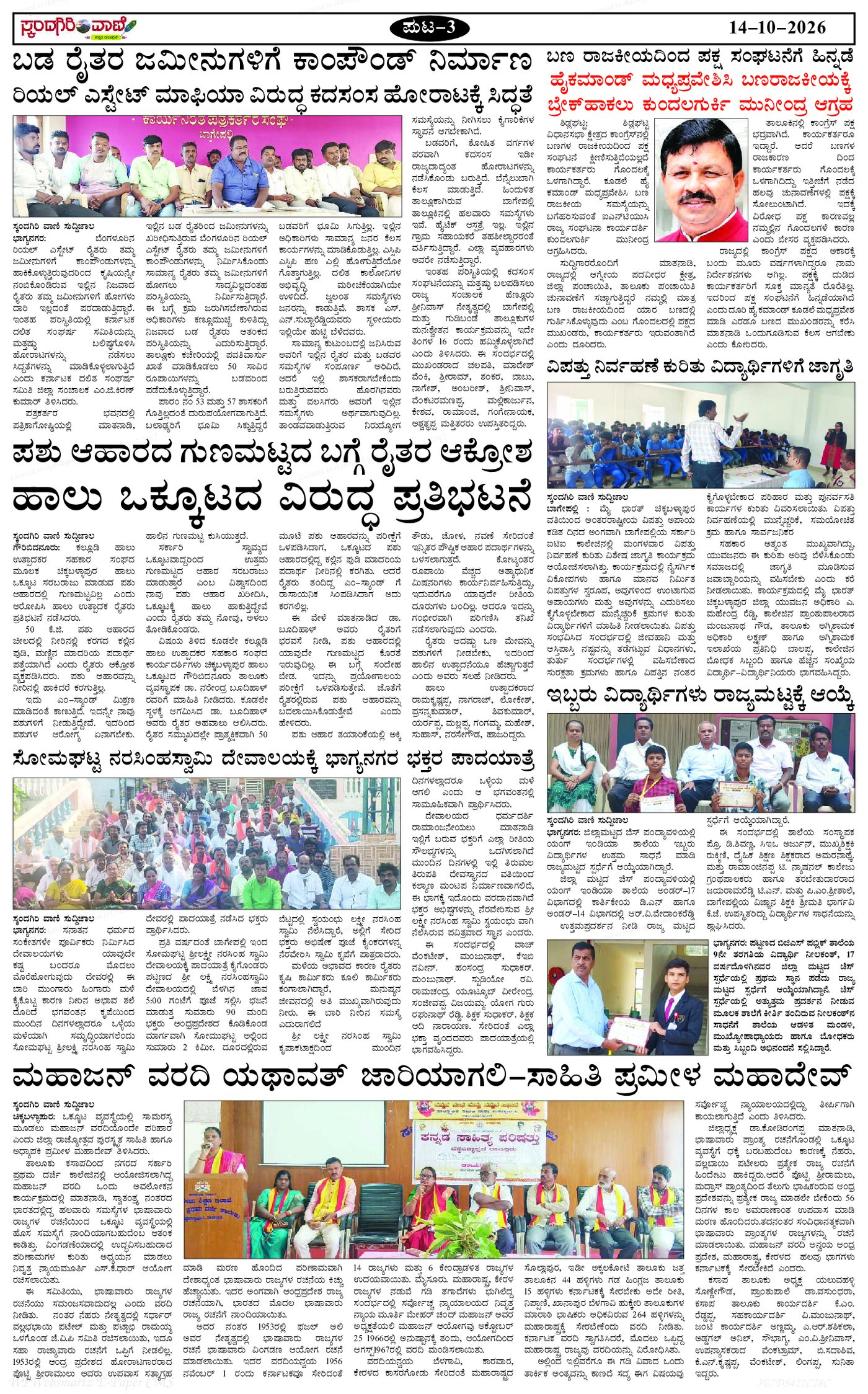 Page 3